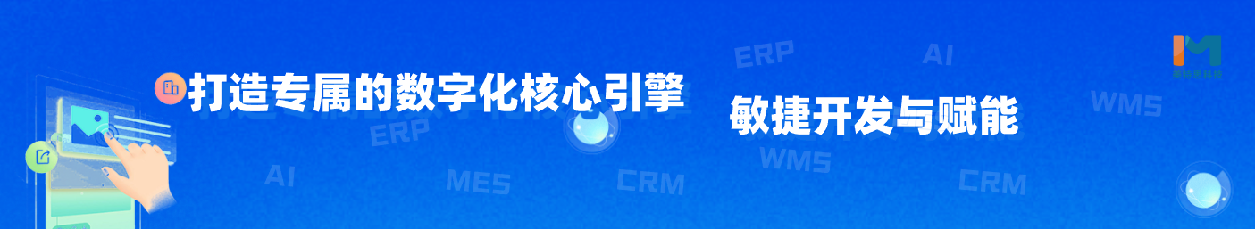 定制化解决方案