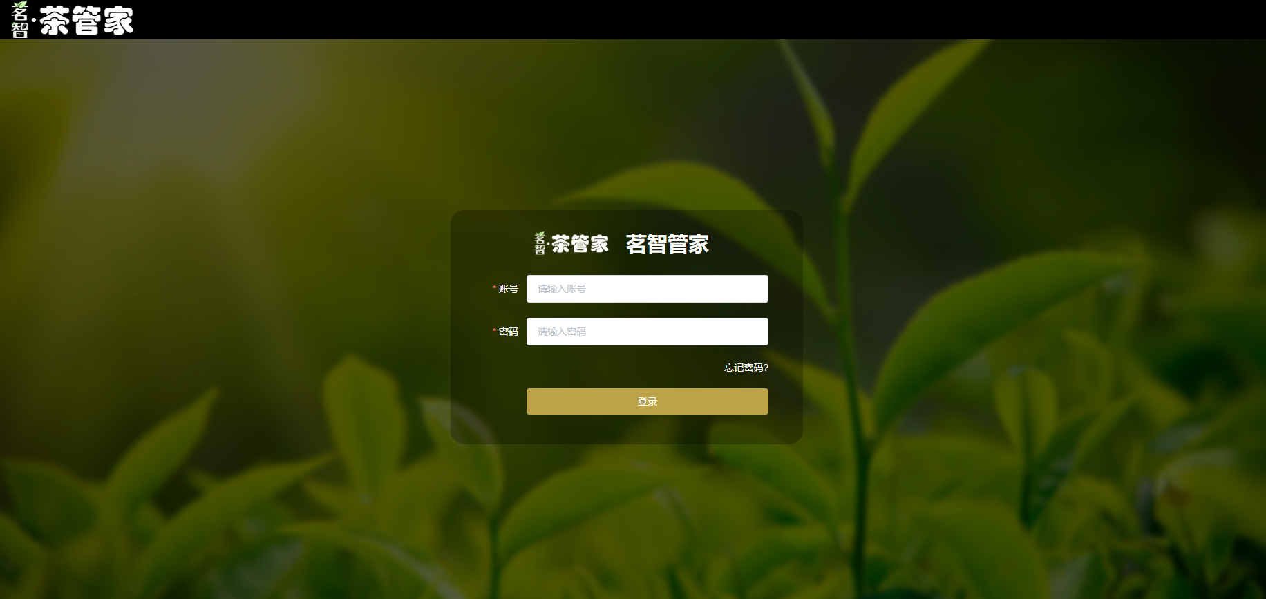 登录界面截图
